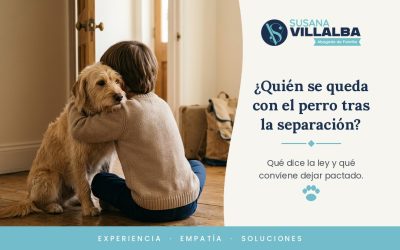 ¿Quién se queda con el perro? Las mascotas en la separación y el divorcio